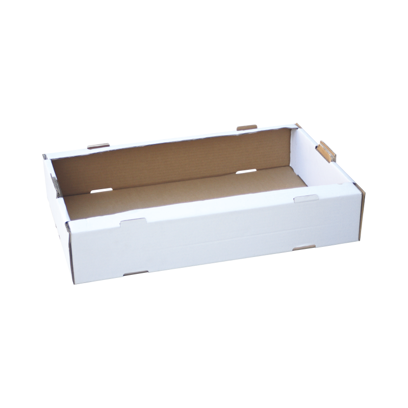 Plateau de Transport Blanc/Marron - Can. B