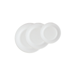 Assiette blanche cartonnée