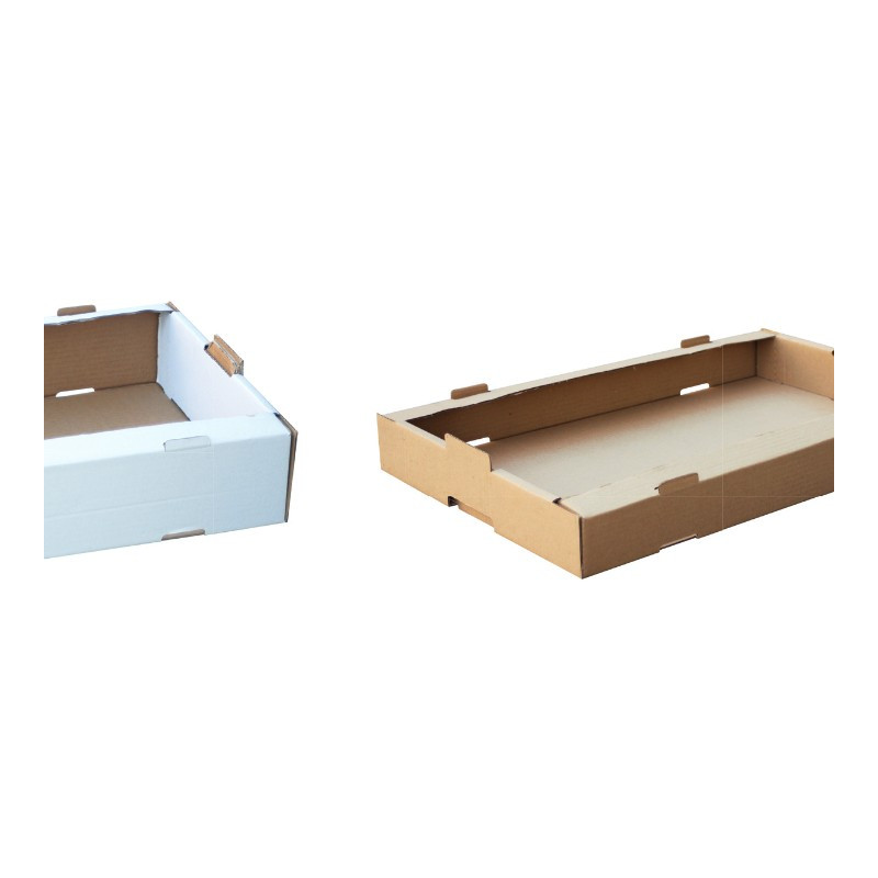 Plateau de Transport Blanc/Marron - Can B - Résistance Froi… | De Facto